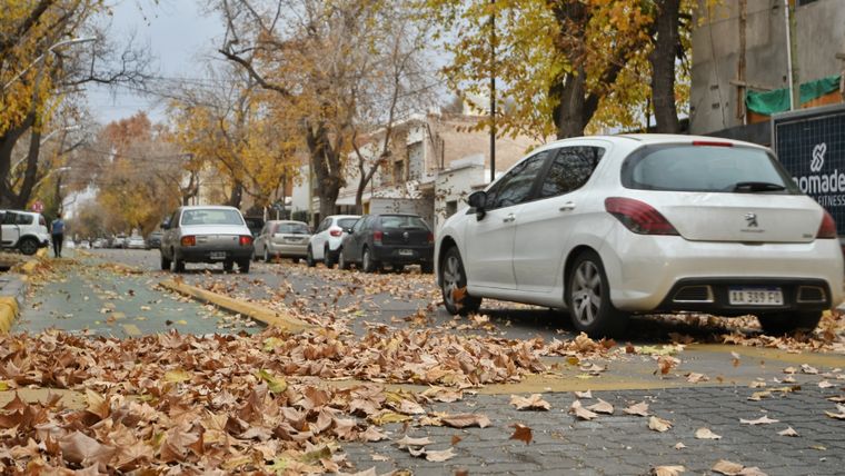 El viento Zonda se sintió con fuerza en Mendoza.&nbsp;