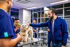 Bukele, tal como lo prometió, abrió el hospital para mascotas. Foto: Prensa El Salvador.
