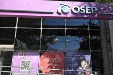 El peronismo presentó un proyecto de ley para democratizar la OSEP.