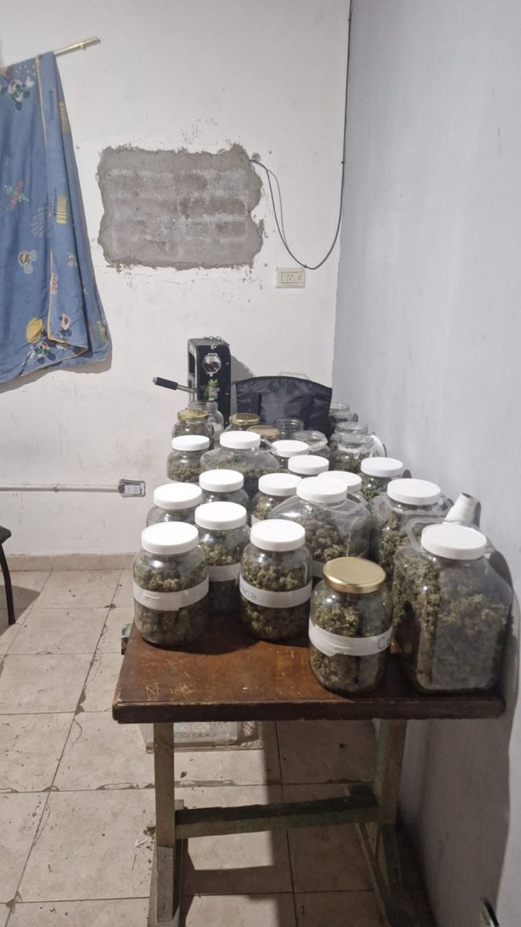 Más frasco de cogollos de cannabis secuestrados durante los procedimientos de la Gendarmería Nacional. Más frasco de cogollos de cannabis secuestrados durante los procedimientos de la Gendarmería Nacional.