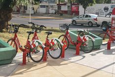 Las bicicletas del Bicitran no zafaron de los delincuentes Foto: Santiago Tagua/MDZ