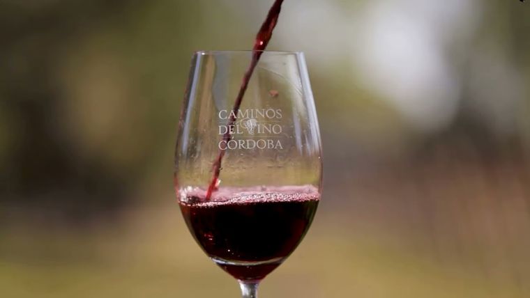 Descubrí más sobre esta propuesta protagonizada por los vinos cordobeses