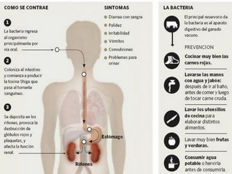 Foto: Gentileza Diario Clarín