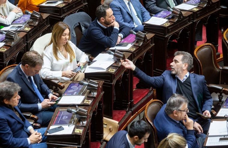 Diputados nacionales del PRO en el recinto Foto: NA