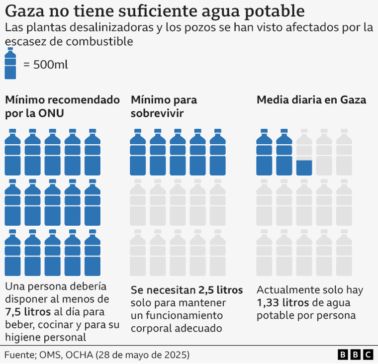 https://www.bbc.com/mundo/articles/ce8145gr2l4o