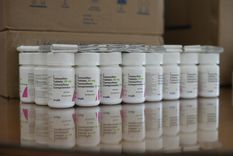 Mendoza importó una nueva partida de medicamentos.