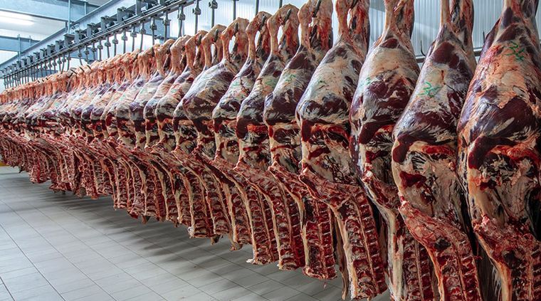 Argentina empezó a importar asado de Brasil. Foto: Télam
