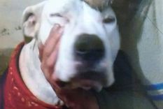 Figueroa asegura que tiene problemas mentales.