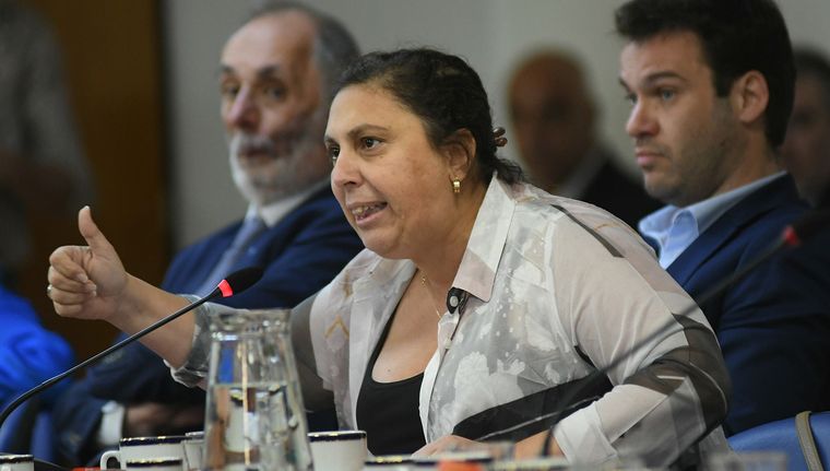 La diputada nacional dialogó con Uno Nunca Sabe Foto: NA