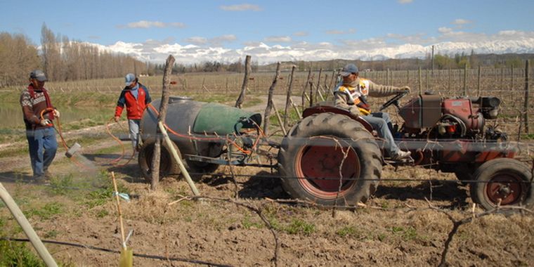 El agro sigue recibiendo impactos. Foto: Ulises Naranjo / MDZ.