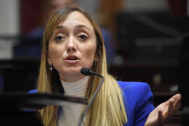 Anabel Fernández Sagasti. Foto: X @SenadoArgentina