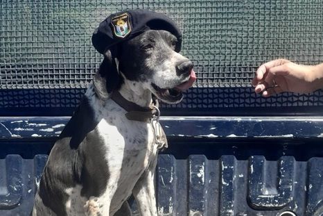 la policia de mendoza despidio a coni y presento su nueva generacion de rastreadores la policia de mendoza despidio a coni y presento su nueva generacion de rastreadores