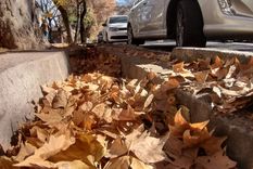 ¡repletas de hojas secas! asi estan las acequias en mendoza