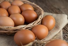 Huevos: un alimento increíble.