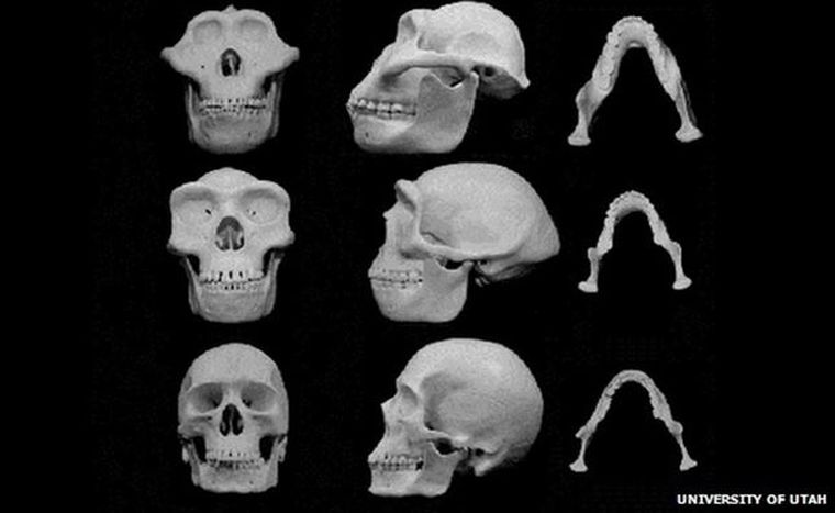 Foto: Universidad de Utah