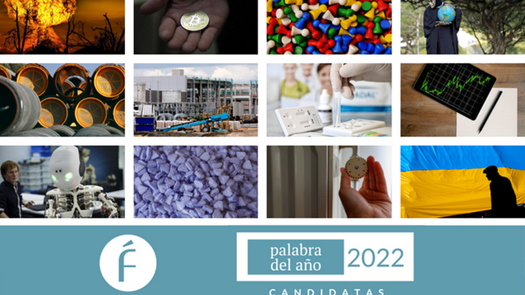 La Fundeu ya trabaja en la palabra del año. Foto: Fundeu.