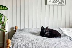 .Quitar las manchas rápidamente es esencial Foto: Future / Brent Darby Photography