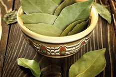 El laurel es vital para este tipo de ritual Foto: Shutterstock