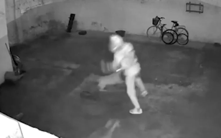 Un ladrón intentó ingresar a una casa de Córdoba, pero fue ahuyentado por dos perras