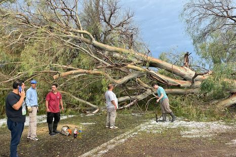 La localidad de Real del Padre es la más afectada a nivel productivo por la tormenta de granizo del lunes. Foto: Gentileza