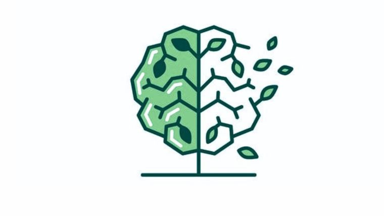 Test de personalidad