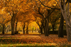 Qué portal energético se abre con la llegada del otoño?´Descubrilo en la nota.