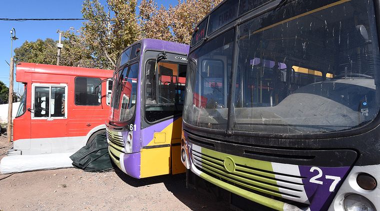 Foto: Alf Ponce / MDZ