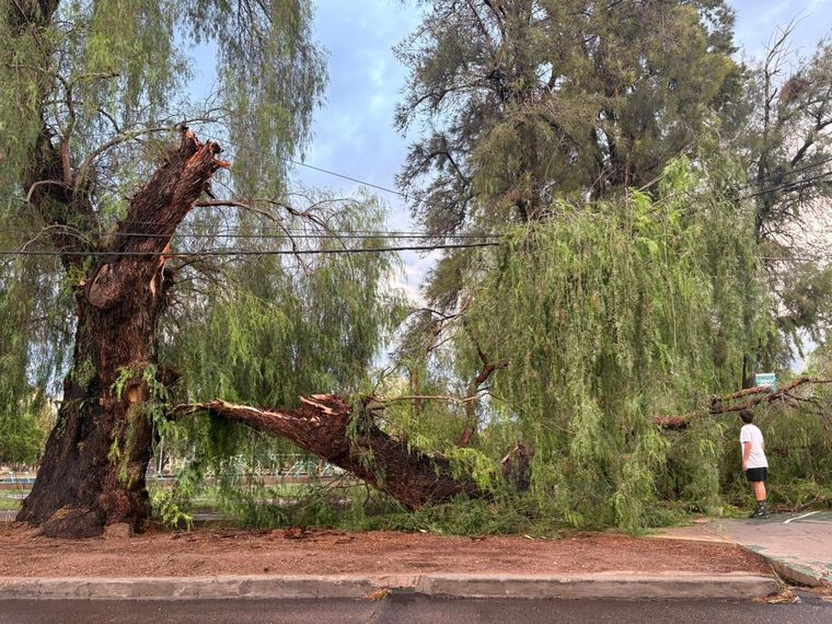 El Gobierno provincial confirmó que no hubo víctimas tras el temporal de este viernes.