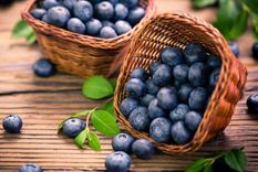 Cuando descrubras la magia que producen los arándanos en nuestro cuerpo, no vas a dejar de comerlos Foto: Shutterstock