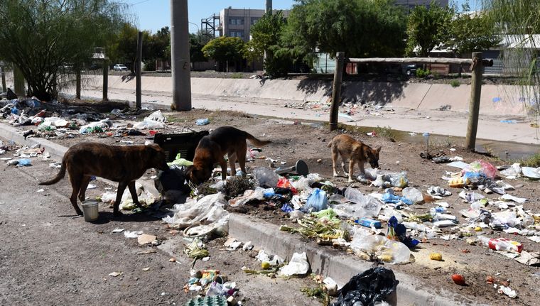 Foto: Rodrigo DAngelo / MDZ