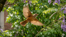Música para los oídos. Fuente: IA Gemini. Música para los oídos. Fuente: IA Gemini.