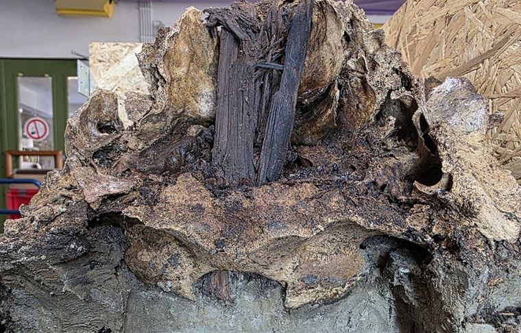 El descubrimiento fue realizado en la zona del lago Duvensee, donde arqueólogos investigan cómo vivían y enterraban a sus muertos las primeras comunidades del Holoceno.