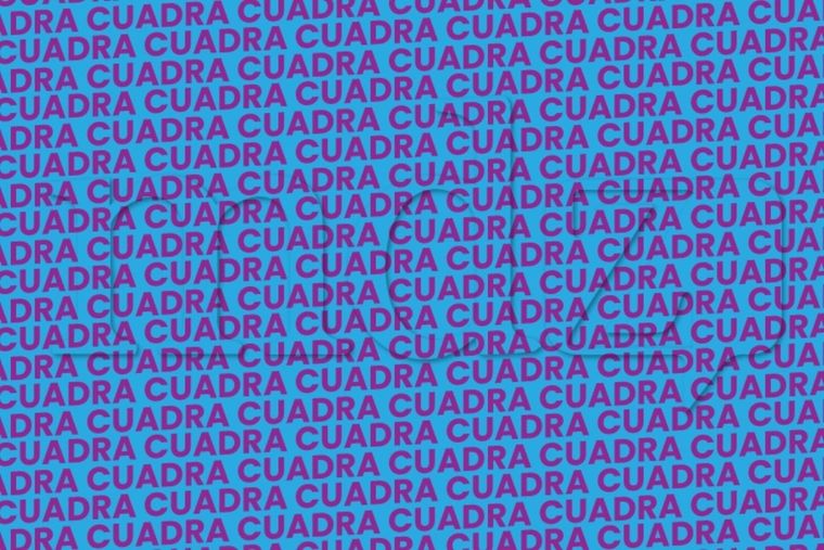 Acertijo visual Acertijo visual, Reto visual, Palabra Foto: MDZ Online