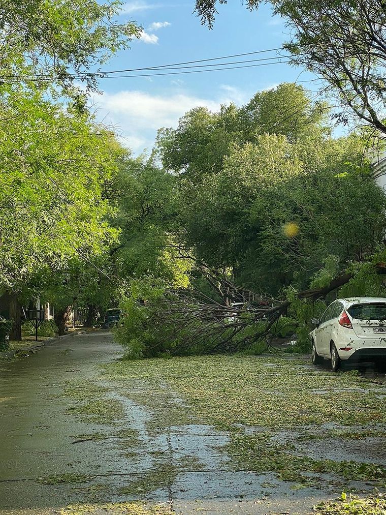 La tormenta causó muertes y destrozos varios en Lavalle