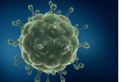 MDZol | Foto: SCIENCE PHOTO LIBRARY. El método de trasplante usado en el caso de esta mujer es invasivo y no es apropiado para la mayor parte de las personas con VIH.