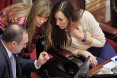 Llegó al Senado el proyecto de movilidad jubilatoria Foto: NA