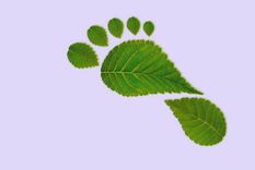 Test de personalidad Test de personalidad