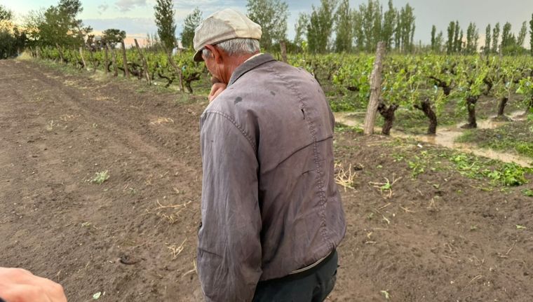 El Gobierno mendocino destinará los fondos para la recomposición productiva de los afectados por el granizo, la helada y el Zonda. Foto: Municipalidad de San Rafael