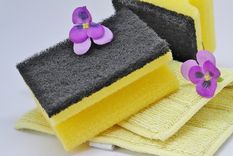 JARDÍN LA ESPONJA DE COCINA PUEDE SER MUY BUENA PARA LAS PLANTAS. Foto: Pixabay