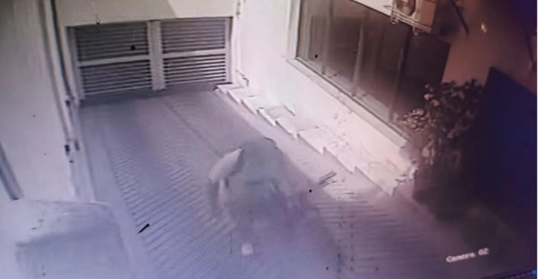 En un edificio de Martínez robaron tres veces en una semana Foto: Agencia Noticias Argentinas