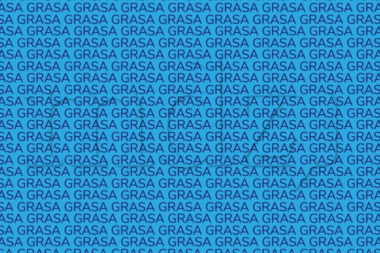 Acertijo visual Acertijo visual, Reto visual, palabra Foto: MDZ Online