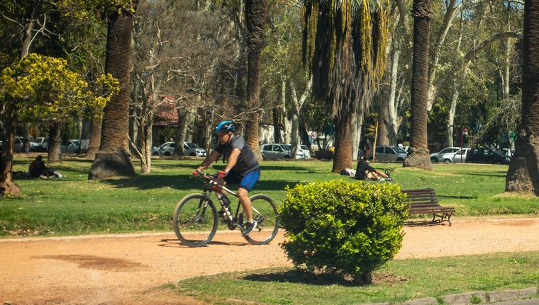Días ideales para hacer actividades al aire libre Foto: Santiago Tagua/MDZ