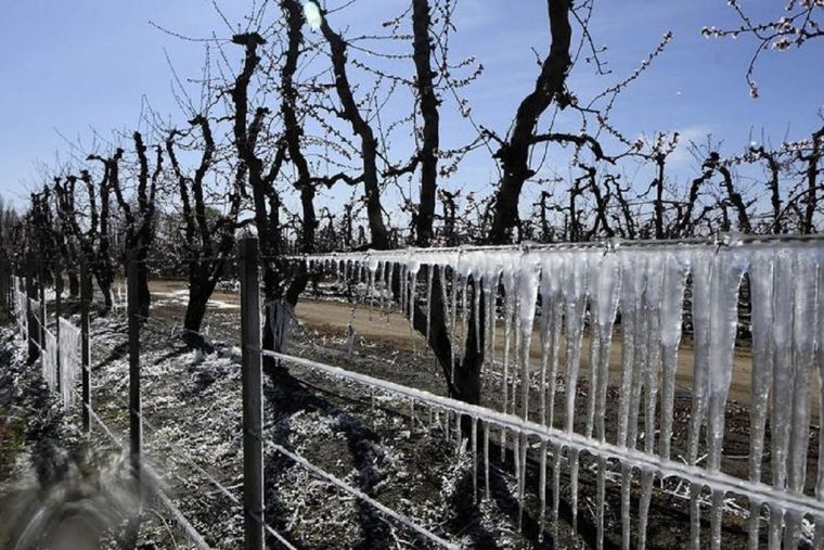 Foto: Prensa Gobierno de Mendoza