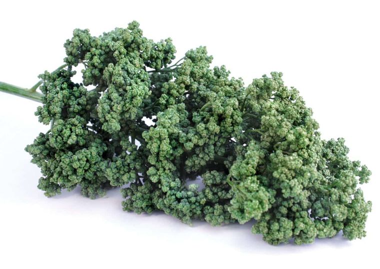 Así es el huauzontle, la planta que se consume en México. Así es el huauzontle, la planta que se consume en México.