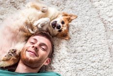 PERROS VIVEN MÁS QUE OTROS Foto: SHUTTERSTOCK