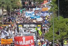 En la ciudad de Córdoba se llevó adelante este mediodía una multitudinaria marcha universitaria. Foto: Gentileza Luis Tortolo