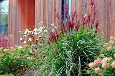 MDZol | Minimalismo, naturalidad, paisajismo, saunas al aire libre y muebles de madera o metal en blanco, negro o natural hacen a lo que se conoce como el jardín escandinavo. Foto: Annika Zetterman