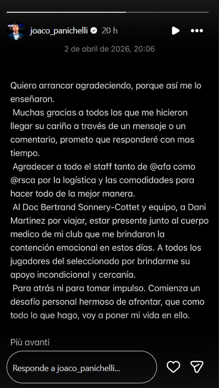 Panichelli se expidió en su cuenta de Instagram. Panichelli se expidió en su cuenta de Instagram.