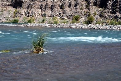 MDZol | calor playa lujan rio mendoza  (29).JPG