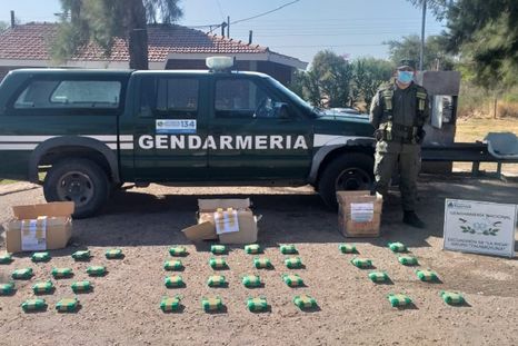 Incautaron hojas de coca y marihuana en un micro que venía a Mendoza